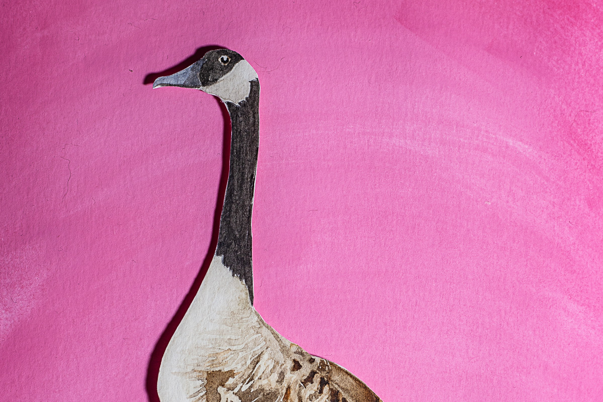 A painting of a Canadian goose